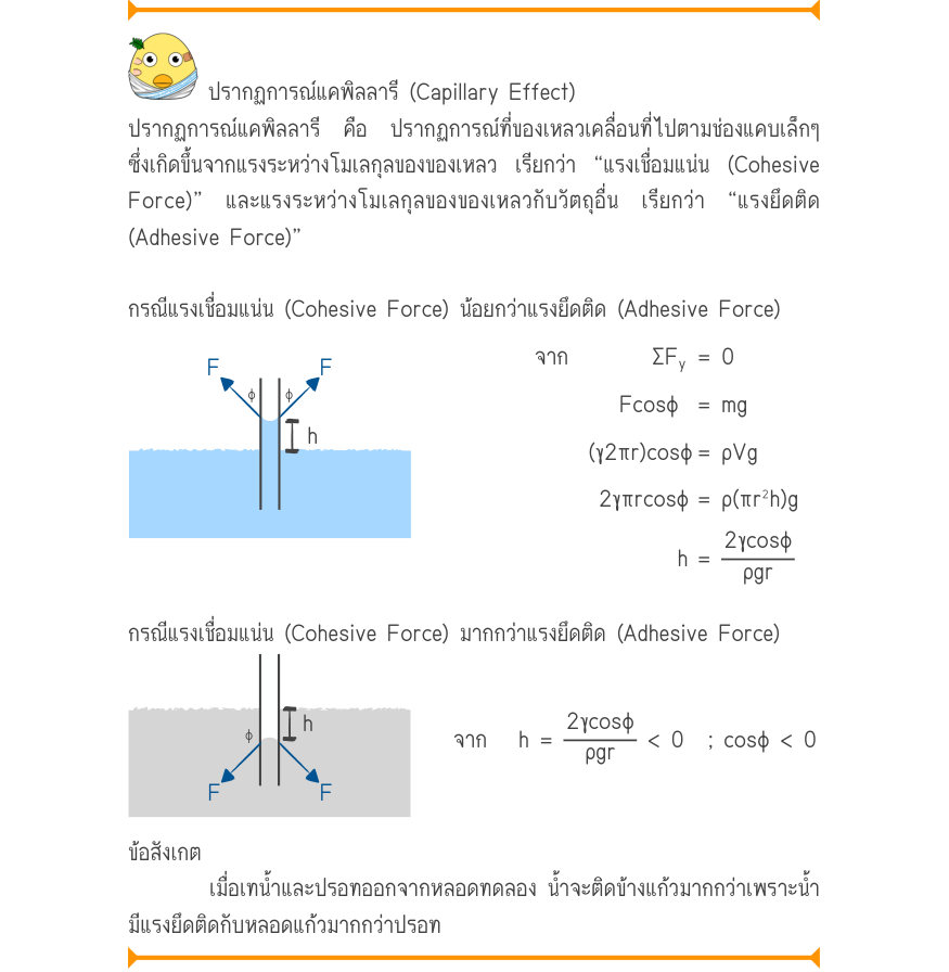 ปรากฏการณ์แคพิลลารี (Capillary Effect) ปรากฏการณ์แคพิลลารี คือ ปรากฏการณ์ที่ของเหลวเคลื่อนที่ไปตามช่องแคบเล็กๆ ซึ่งเกิดขึ้นจากแรงระหว่างโมเลกุลของของเหลว เรียกว่า “แรงเชื่อมแน่น (Cohesive Force)” และแรงระหว่างโมเลกุลของของเหลวกับวัตถุอื่น เรียกว่า “แรงยึดติด (Adhesive Force)” กรณ