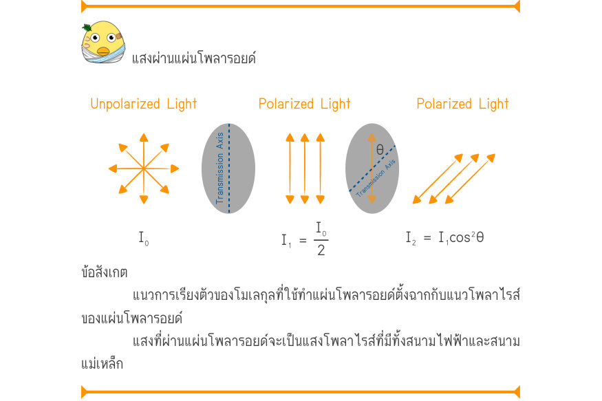 แสงผ่านแผ่นโพลารอยด์ Unpolarized LightPolarized LightPolarized Light \theta _{Transmission Axis} _{Transmission Axis} I₀I₁ =\frac{I₀}{2}I₂ = I₁\cos ^{2}\theta ข้อสังเกต แนวการเรียงตัวของโมเลกุลท่ีใช้ทําแผ่นโพลารอยด์ตั้งฉากกับแนวโพลาไรส์ ของแผ่นโพลารอยด์ แสงที่ผ่านแผ่นโพลารอยด์จะเ