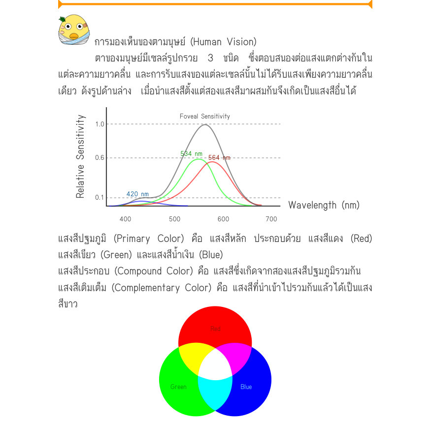 การมองเห็นของตามนุษย์ (Human Vision) ตาของมนุษย์มีเซลล์รูปกรวย 3 ชนิด ซึ่งตอบสนองต่อแสงแตกต่างกันใน แต่ละความยาวคลื่น และการรับแสงของแต่ละเซลล์นั้นไม่ได้รับแสงเพียงความยาวคลื่น เดียว ดังรูปด้านล่าง  เมื่อนำแสงสีตั้งแต่สองแสงสีมาผสมกันจึงเกิดเป็นแสงสีอื่นได้ _{Foveal Sensitivity} 